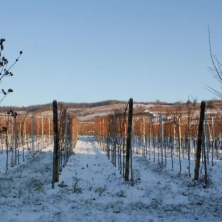 D'hotes Le Vogelgarten Sigolsheim