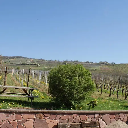 Bed & Breakfast D'hotes Le Vogelgarten