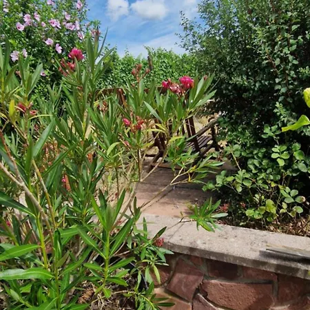 D'hotes Le Vogelgarten Sigolsheim