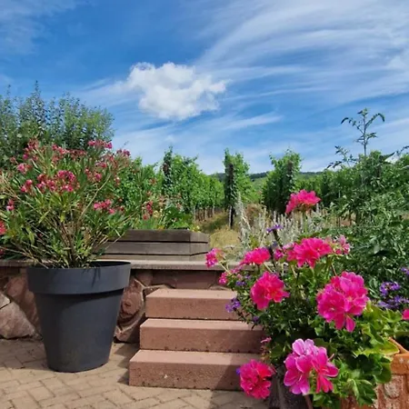 D'hotes Le Vogelgarten Bed & Breakfast Sigolsheim