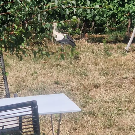 D'hotes Le Vogelgarten