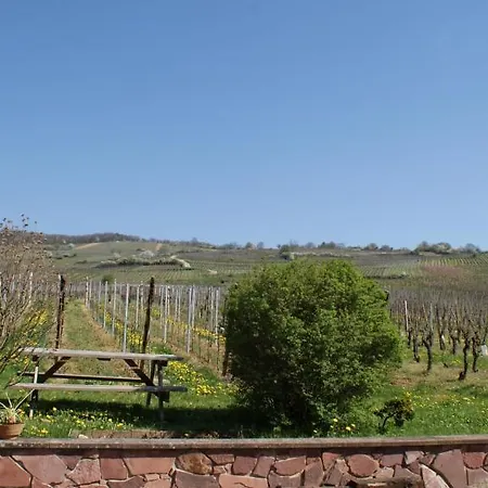 D'hotes Le Vogelgarten Bed & Breakfast Sigolsheim