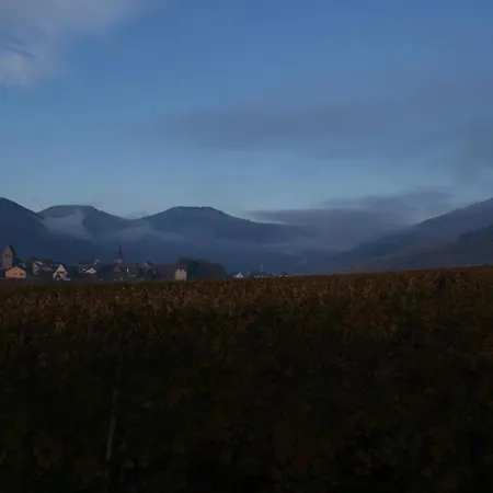 Bed & Breakfast D'hotes Le Vogelgarten