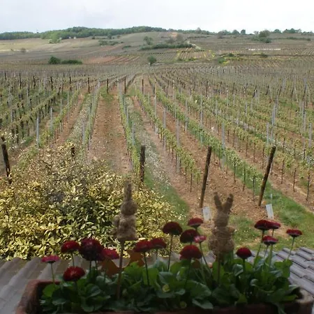 D'hotes Le Vogelgarten Bed & Breakfast *