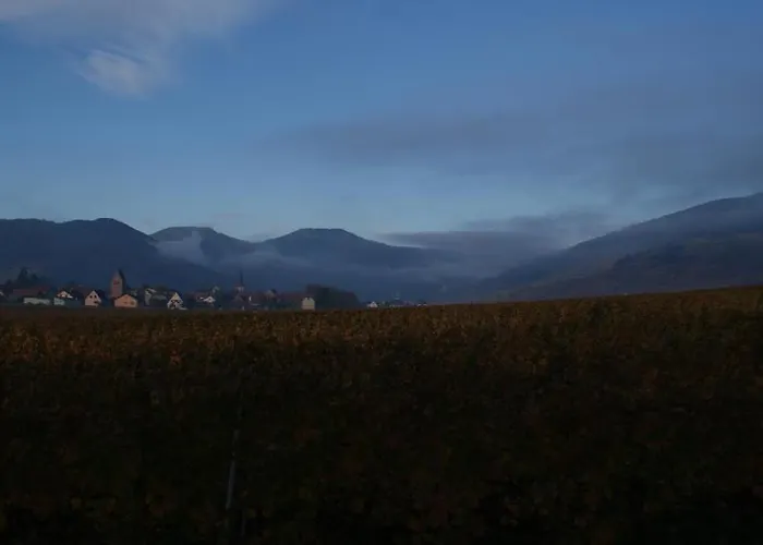 Bed and Breakfast D'hotes Le Vogelgarten